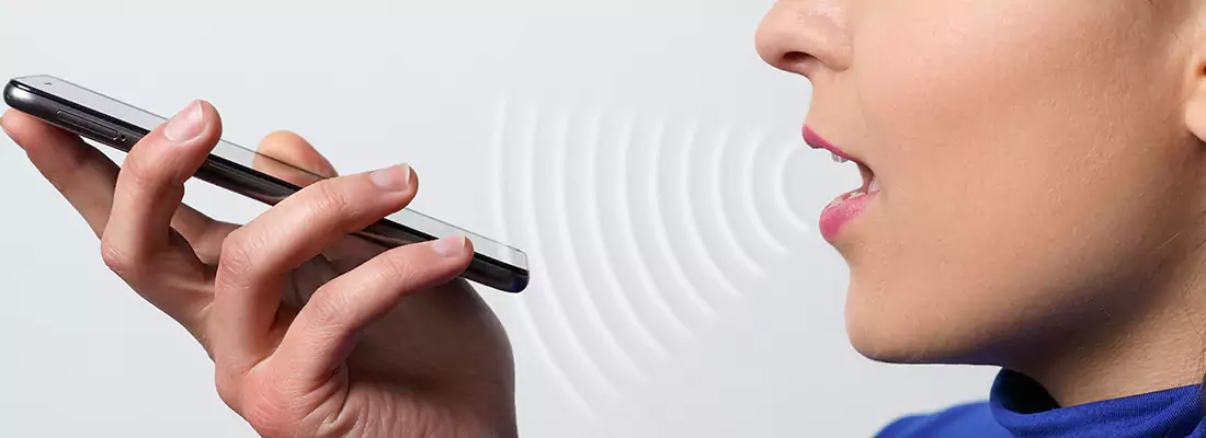 Residential and Commercial Voice Recognition Access Solutions in Merritt Island, FL